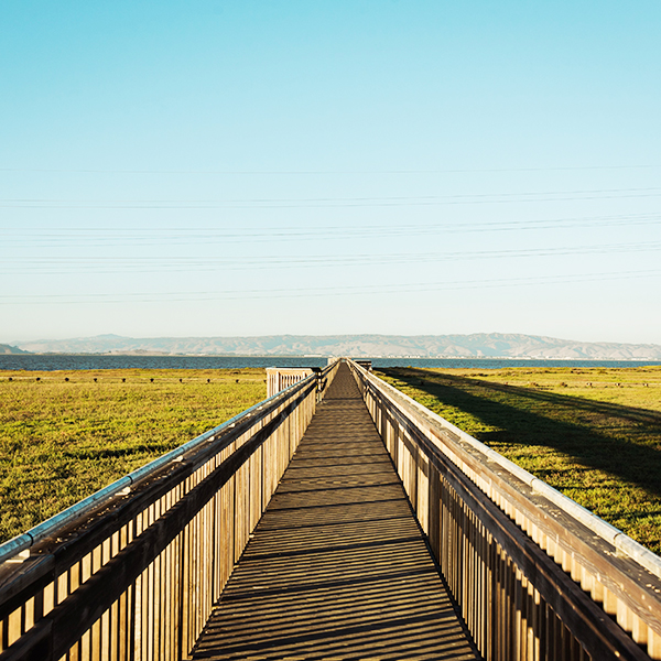 Palo Alto Baylands%20Nature Preserve